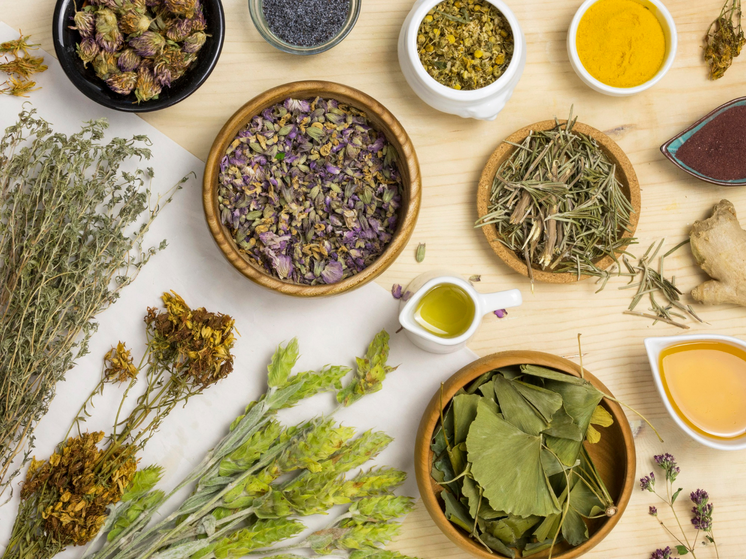 10 Everyday Herbs That Support Better Health Naturally